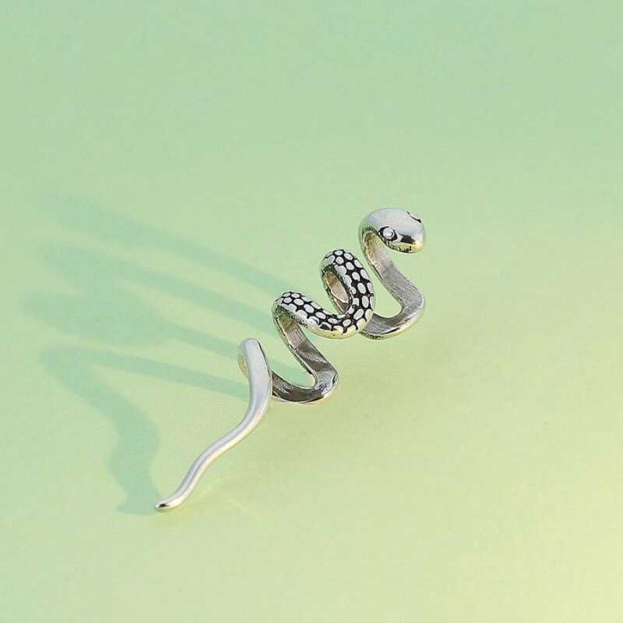 Style De Boucle D'Oreille Les bijoux en acier | Boucle D'Oreille Serpent En Argent