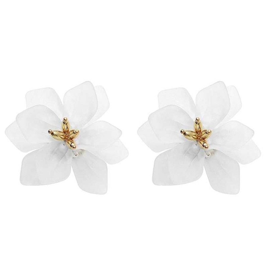 Style De Boucle D'Oreille Les bijoux en acier | Boucle D'Oreille Femme Acrylique Fleur