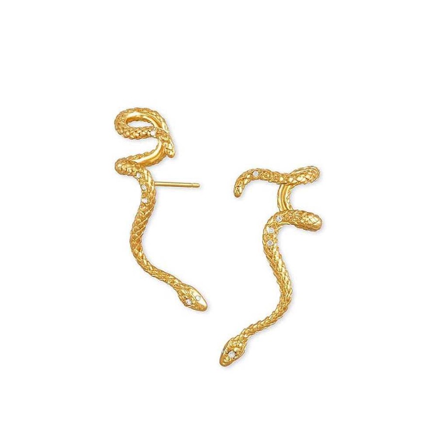 Style De Boucle D'Oreille Les bijoux en acier | Boucle D'Oreille Serpent Animal Cr Ative